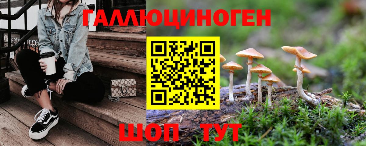 Псилоцибиновые грибы Psilocybe  Галлюциногенные грибы Psilocybe  Томск  Вход с VPN 