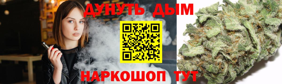 Каннабис сатива Томск